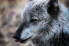 Stress in its natural form.